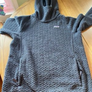 Patagonia Diamond Cobra Hoodie